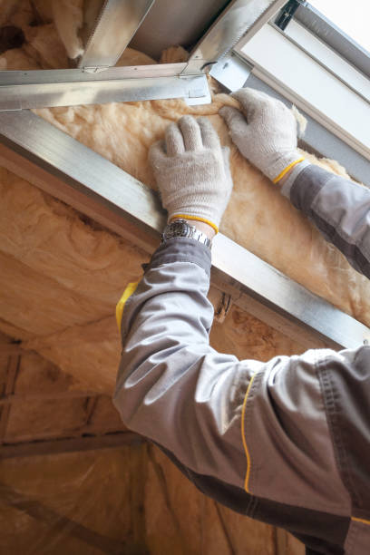 Best Cellulose Insulation  in Briarcliff, TX