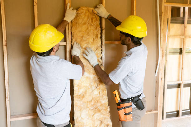 Best Attic Insulation Near Me  in Briarcliff, TX