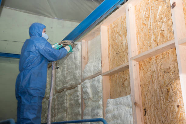 Best Spray Foam Insulation  in Briarcliff, TX